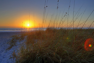 Beach At The International Palms Resort Cocoa Beach