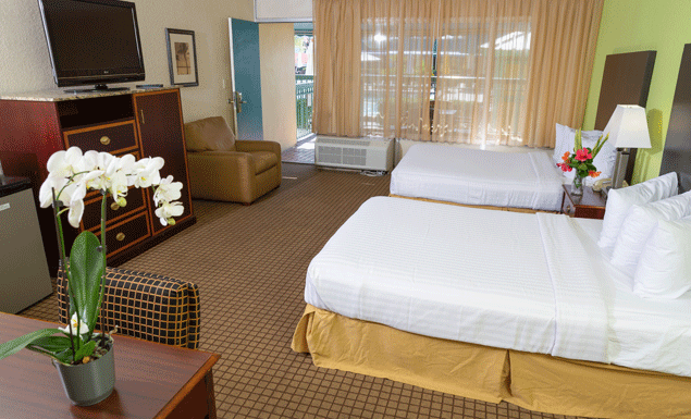 Poolside CabanaPhoto 0